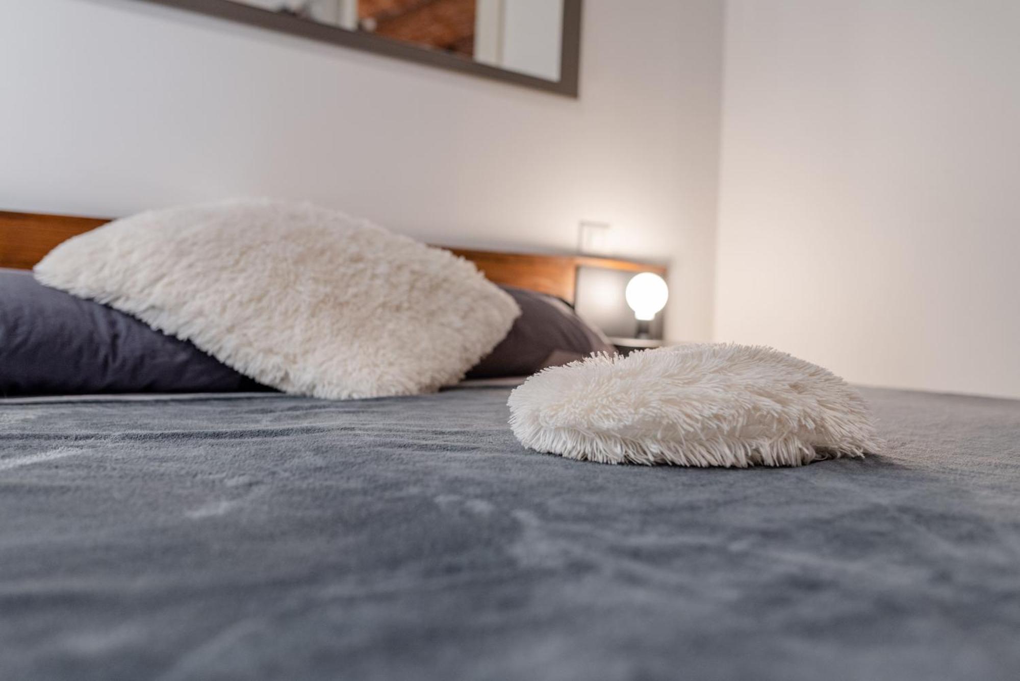 Suite & Queen Apartments Τορίνο Εξωτερικό φωτογραφία